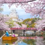 Best Travel Destinations for Solo Travelers in 2025