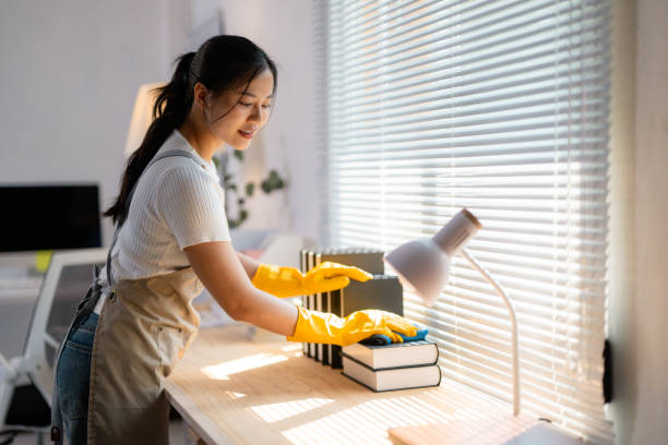 A Homeowner's Guide To Maintaining A Dust-Free Home In Scottsdale