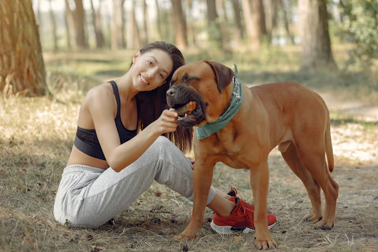 5 Best CBD Oils for Dogs to Consider for Pet Wellness in 2026